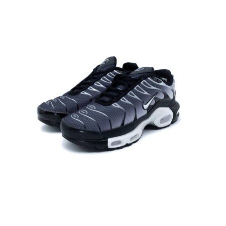 Кроссовки Air Max Plus Black Metallic Silver S10141-01