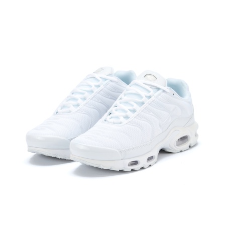 Кроссовки Air Max Plus TN White S10131-04