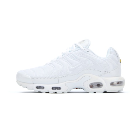 Кроссовки Air Max Plus TN White S10131-04