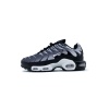 Кроссовки Air Max Plus Black Metallic Silver S10141-01